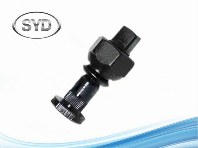 Tyre Screws